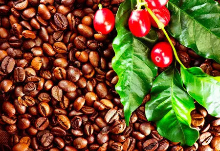 Le-Café-un-Géant-Mondial-mais-le-Maté-Gagne-du-Terrain Originel Maté