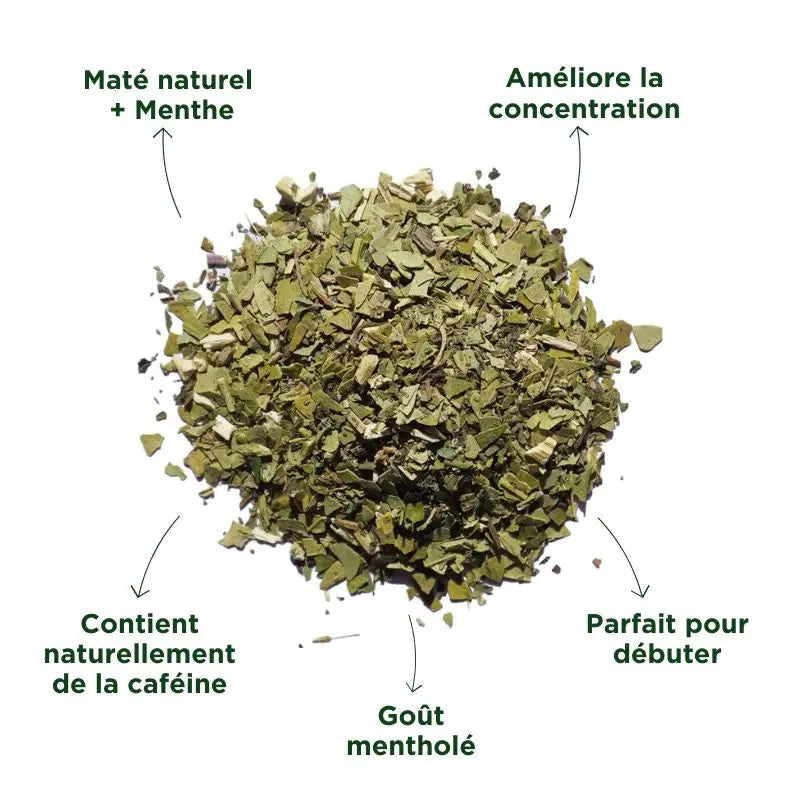 Maté Menthe Bio🍃 Originel Maté